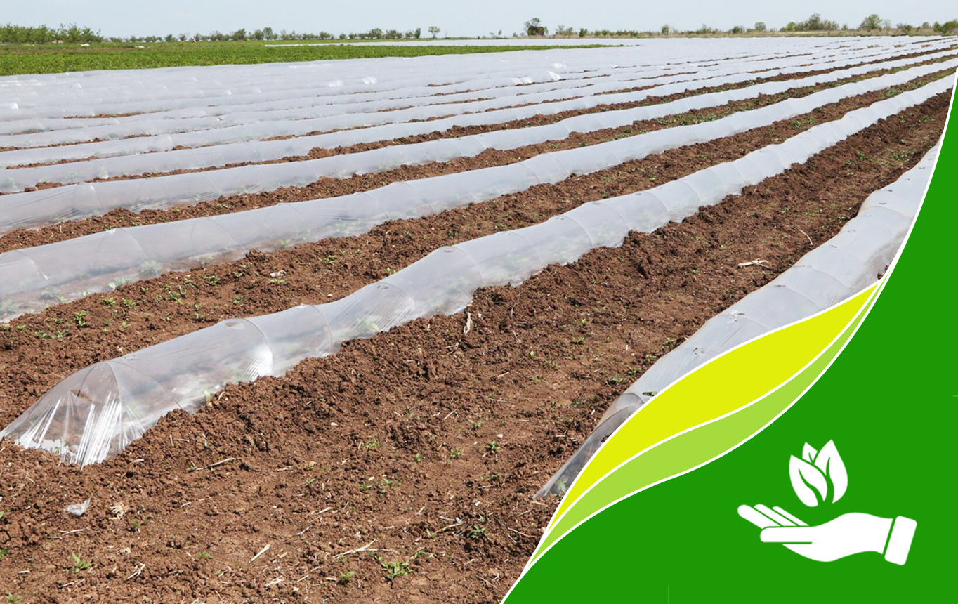 مواد ویژه برای حفظ حرارت و حفظ رطوبت فیلم زمینی کاملاً زیست تخریب پذیر BIO/F-0051W